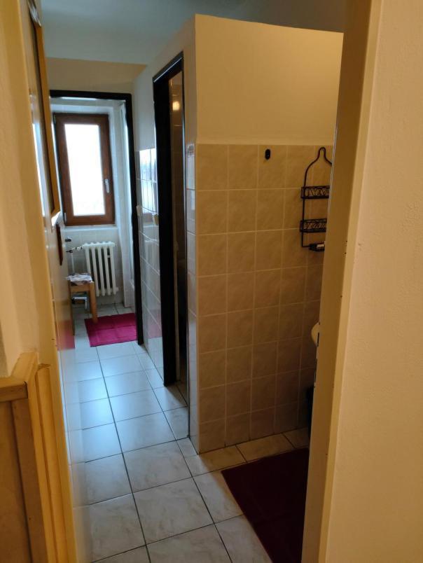 Penzion Sumava - Apartman Horni Plana Exterior foto